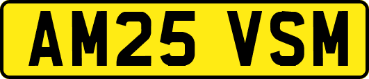 AM25VSM