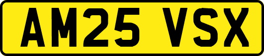 AM25VSX