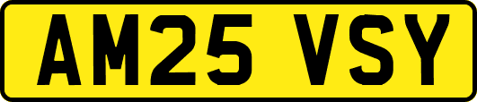 AM25VSY