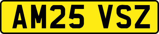 AM25VSZ