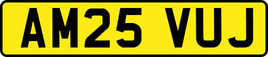 AM25VUJ