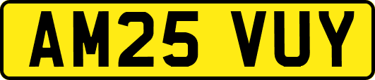 AM25VUY