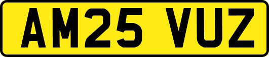 AM25VUZ