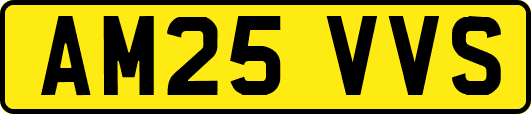 AM25VVS