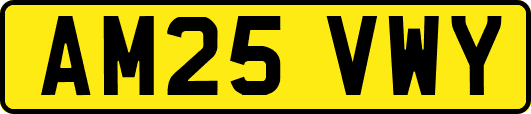 AM25VWY