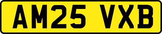 AM25VXB