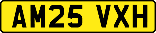 AM25VXH
