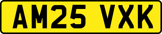 AM25VXK
