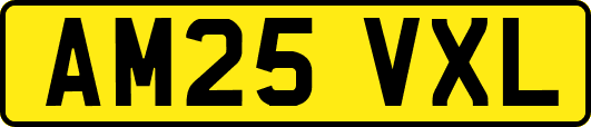 AM25VXL
