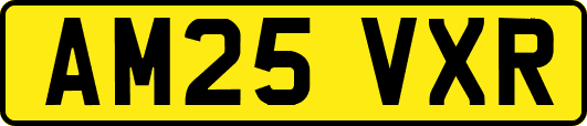 AM25VXR
