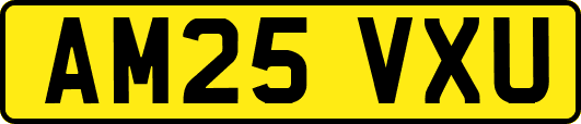AM25VXU