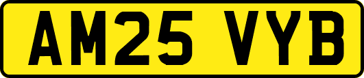 AM25VYB