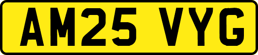 AM25VYG