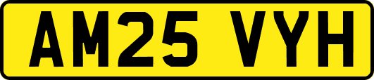 AM25VYH