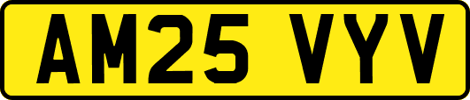 AM25VYV