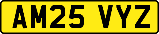AM25VYZ