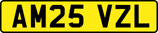AM25VZL