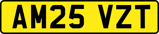 AM25VZT