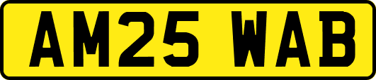 AM25WAB