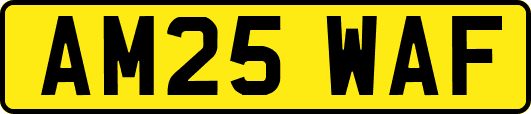 AM25WAF