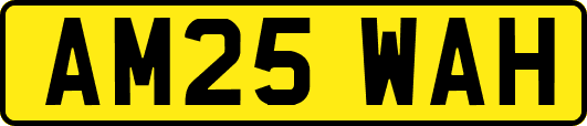 AM25WAH