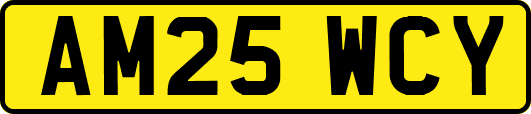 AM25WCY