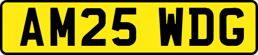 AM25WDG