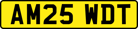 AM25WDT