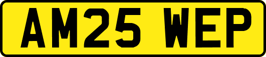 AM25WEP