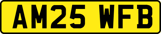 AM25WFB