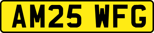 AM25WFG