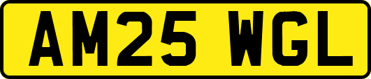 AM25WGL