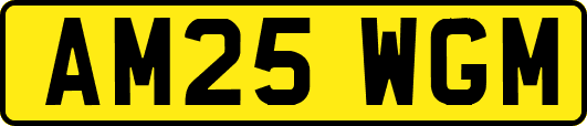 AM25WGM