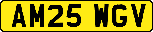 AM25WGV