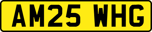 AM25WHG
