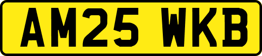 AM25WKB