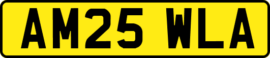 AM25WLA
