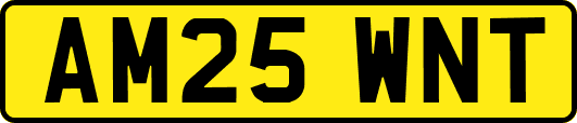 AM25WNT
