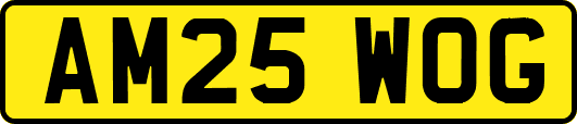 AM25WOG