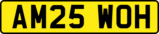 AM25WOH