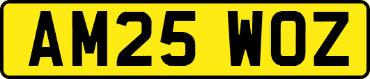 AM25WOZ