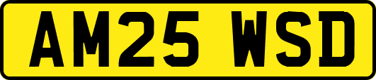 AM25WSD