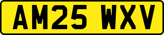 AM25WXV