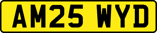 AM25WYD