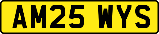 AM25WYS