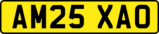 AM25XAO