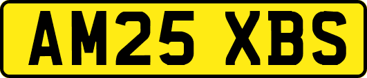 AM25XBS
