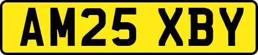 AM25XBY