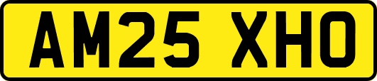 AM25XHO