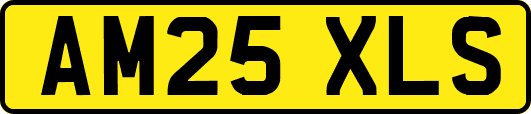 AM25XLS